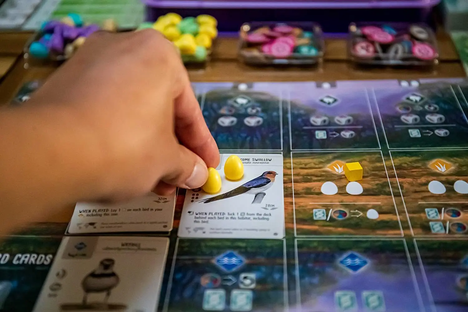 Jogo de envergadura versão 2018 Espalhe suas asas e voam Jogo de tabuleiro Hummingbird Swift Start Pack