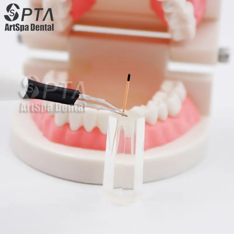 ทันตกรรม Endo Gutta ฟันไวท์เทนนิ่งสุขอนามัยช่องปากอุปกรณ์ทันตกรรมฟันเครื่องตัดหมากฝรั่งทันตกรรม Gutta Percha 4 เคล็ดลับ