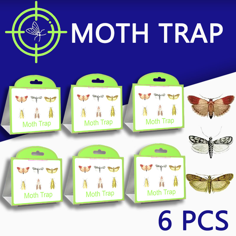 SilentKing 6PCS Moths กับดัก Pantry เสื้อผ้าห้องครัวอาหารบ้านสวน Pest Control Moth กับดักฟีโรโมน Moths สติกเกอร์ Moths Trap