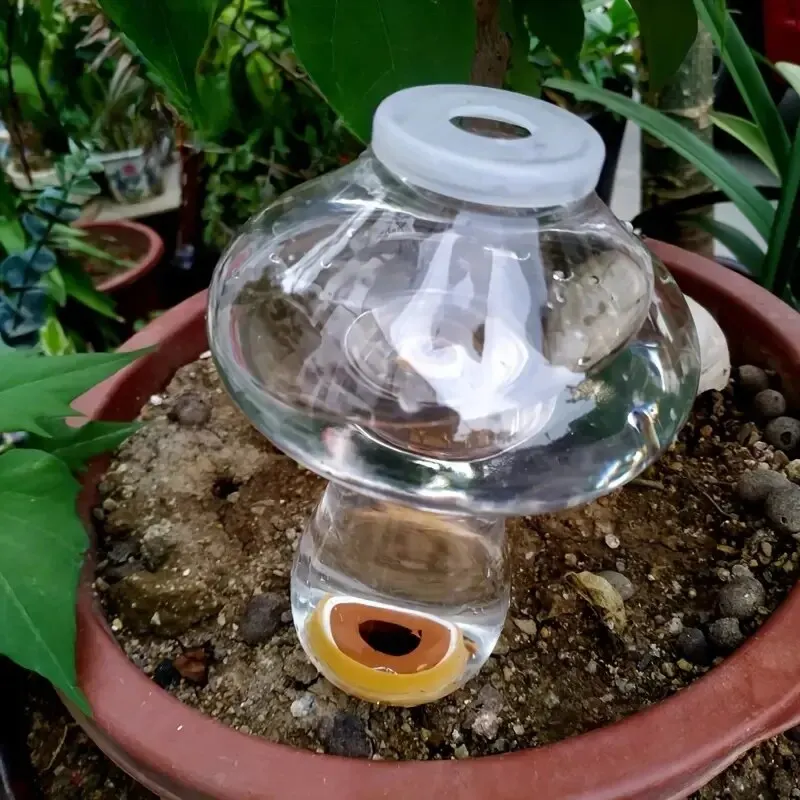 급수 재배자 삽입 사랑 모양의 자동 식물 Waterer 분무기 물방울 관개 꽃 식물, 물방울 누출 장치