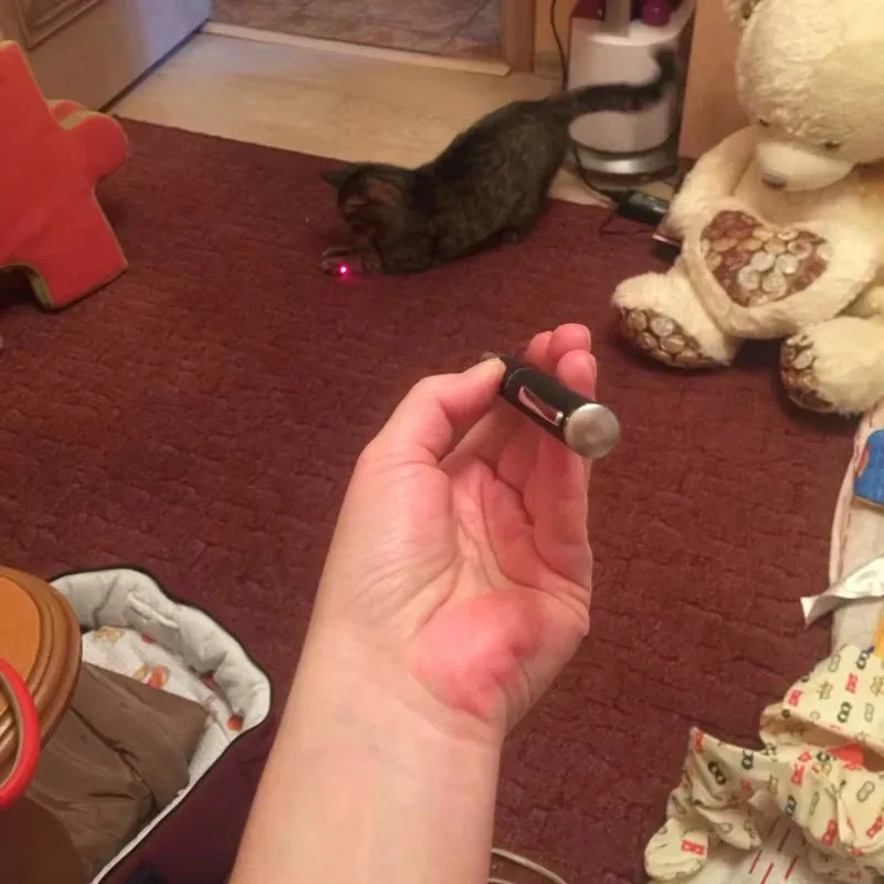 Pet Laser Pointer & LED Flashlight - Interactive Cat Scratching Toy, Christmas Gift for Cats/Kittens