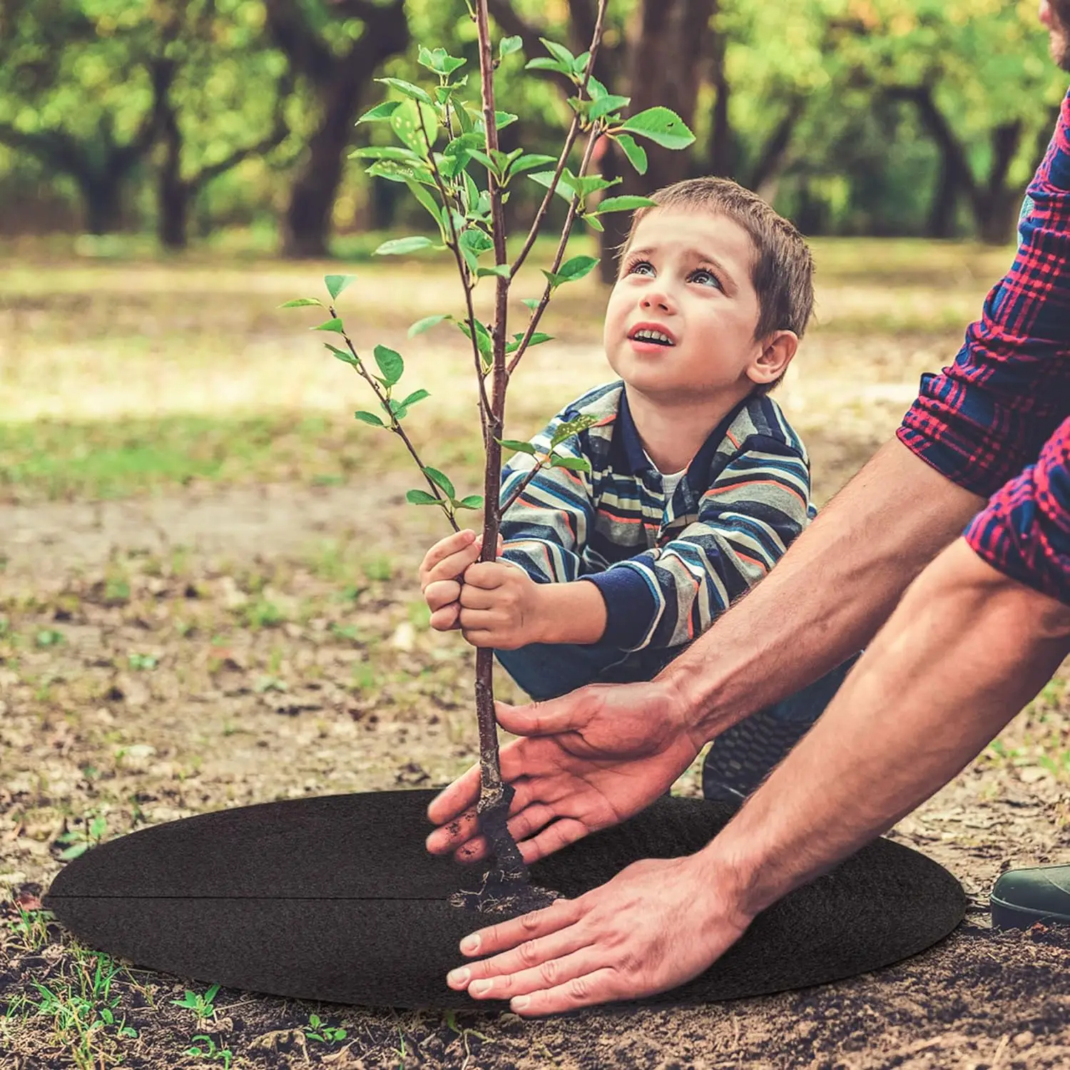 10 Uds. Anillo de palenco de árbol no tejido estera protectora de árbol degradable barrera de malas hierbas de árbol reutilizable para Control de malezas protección de raíces