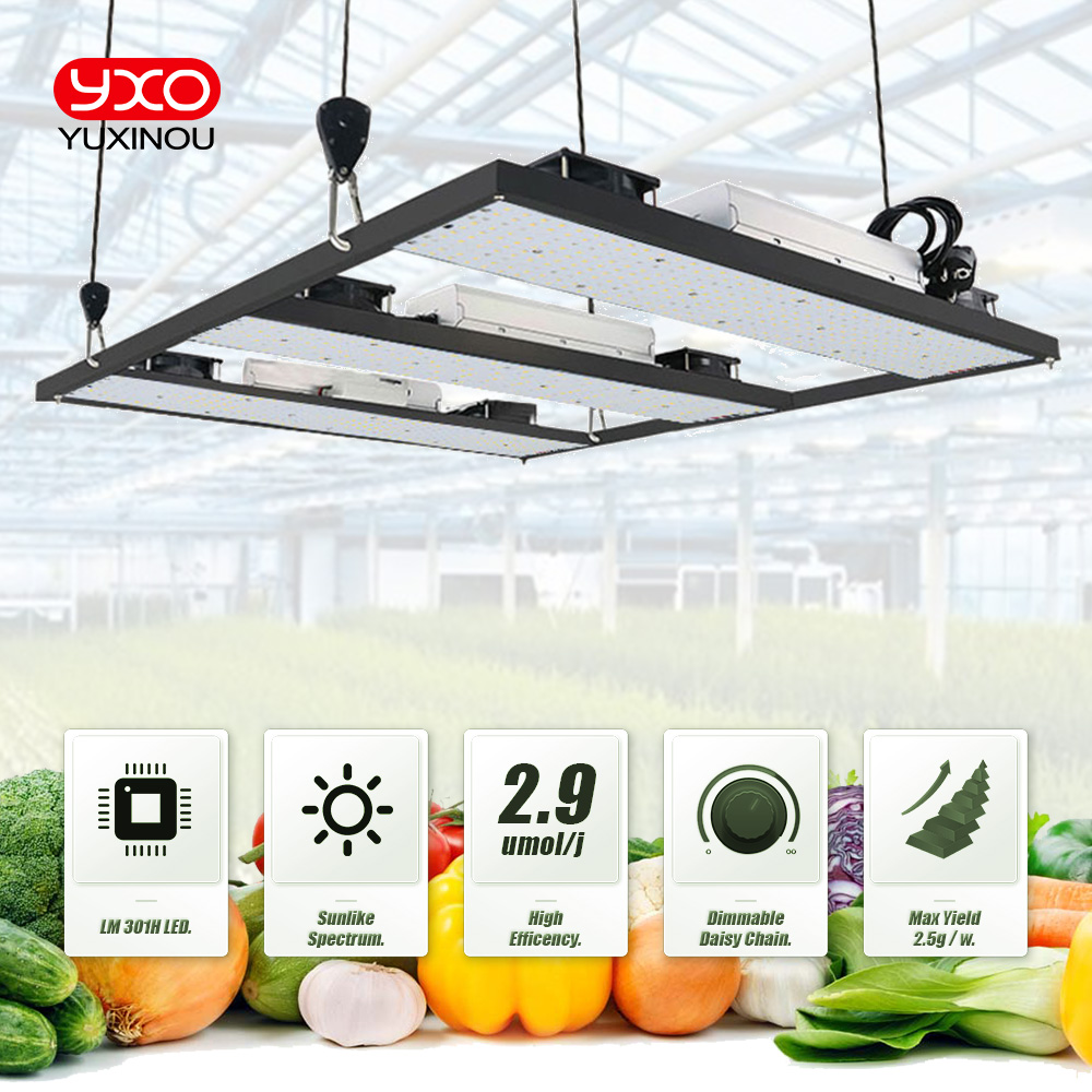 Samsung LM301h LED Grow Phytolamp Vollspektrum-LED-Wachstumslichter 240 W 480 W 720 W Wachstumslicht für Gemüseblumensämlinge im Innenbereich