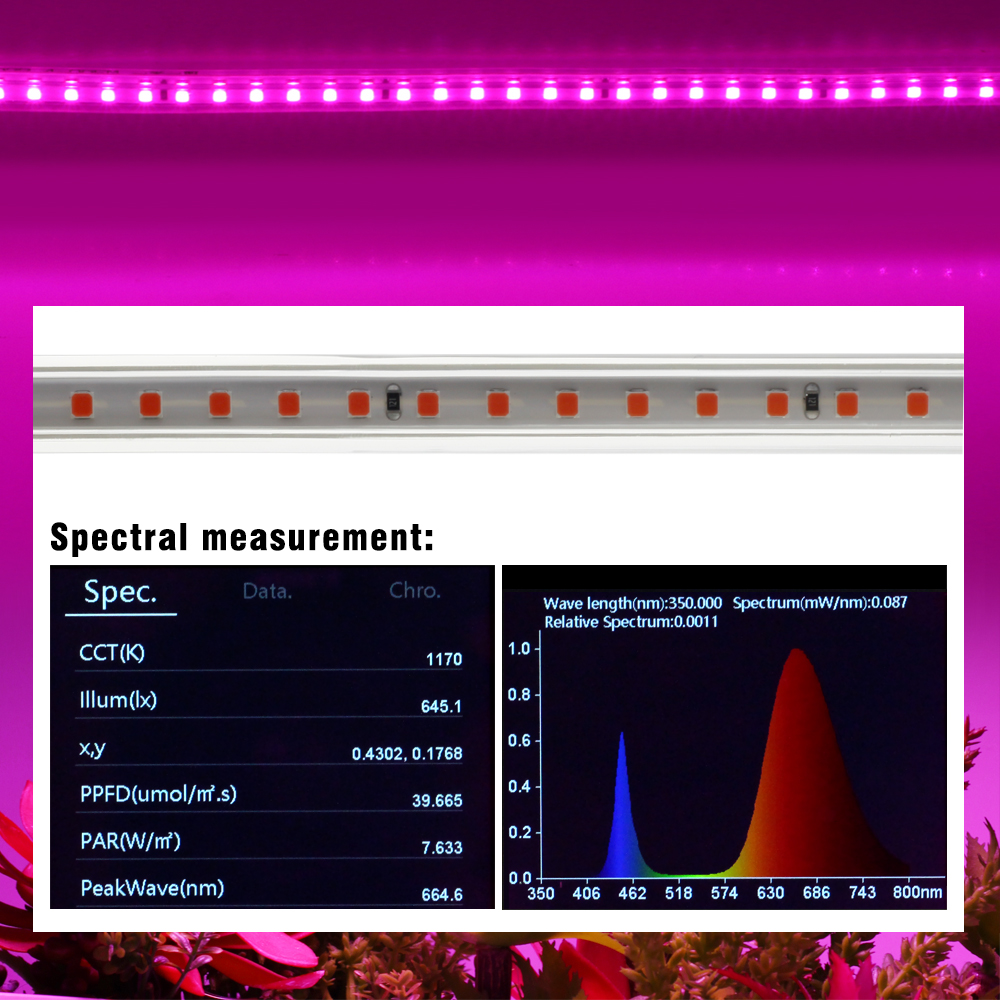 Grow Light Stripsเต็มสเปกตรัม 220V Phytoโคมไฟกันน้ําLEDแถบพืชสําหรับดอกไม้ต้นกล้าGrowเต็นท์Hydroponic 1-20M