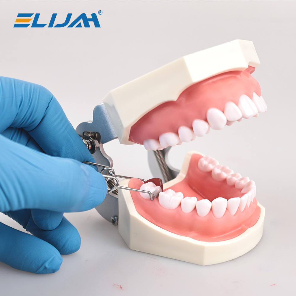 Dental Sectional Contoured Metal Matrices Matrix with Springclip No.1.330 Band Resin Clamping/Seperating Ring Dentist Tools