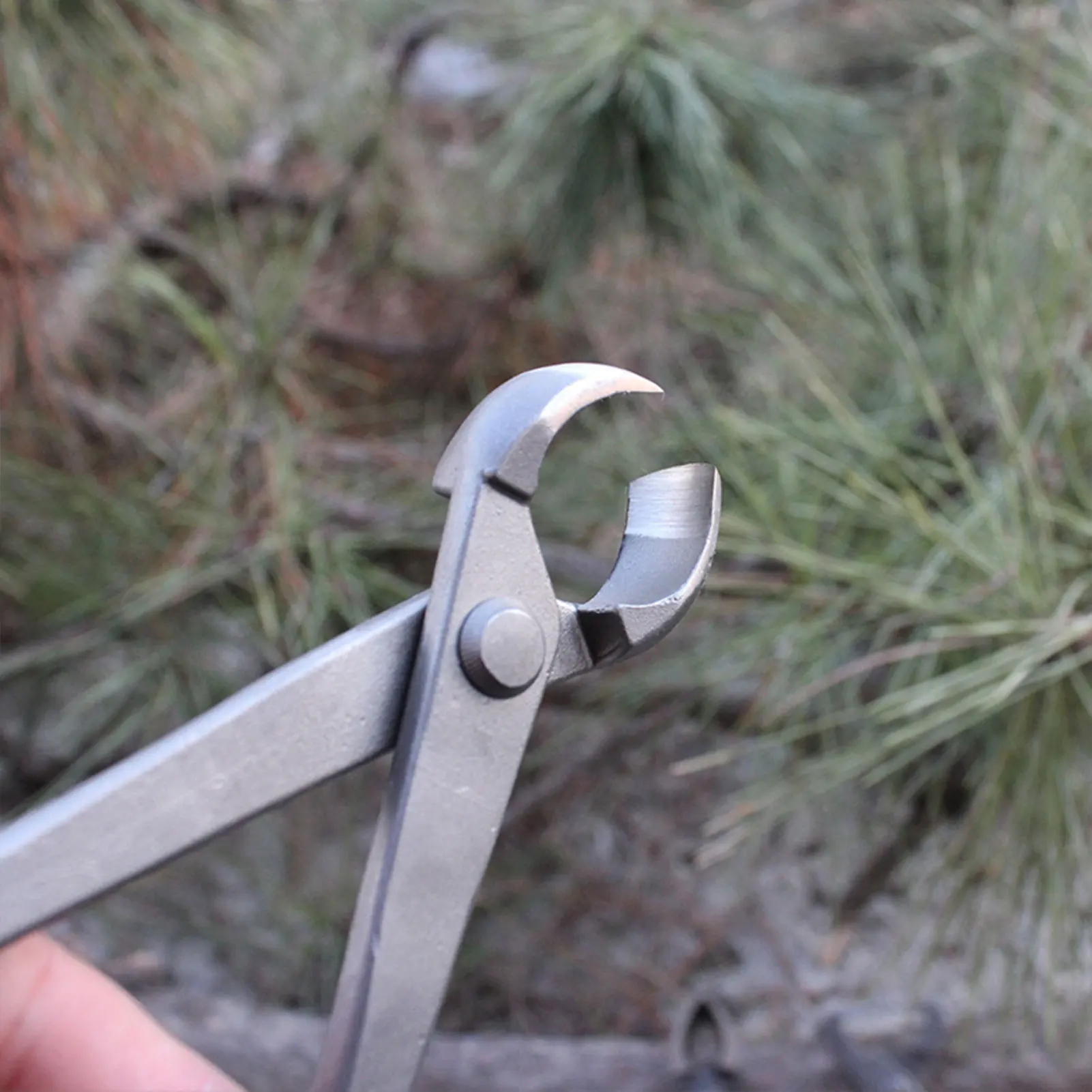 Cortador de perilla para bonsái, cortador de borde cóncavo, alicates para cortar raíces, tijeras de cizalla de bola, herramientas para bonsái de jardín de modelado de paisaje, 210mm
