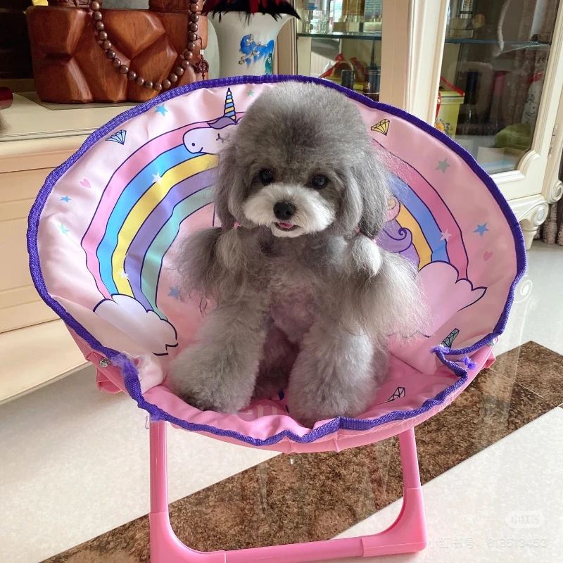 Cat chair dog sunbathing chair Oxford cloth small dog furniture leisure chair foldable pet chair children's beach camping chair