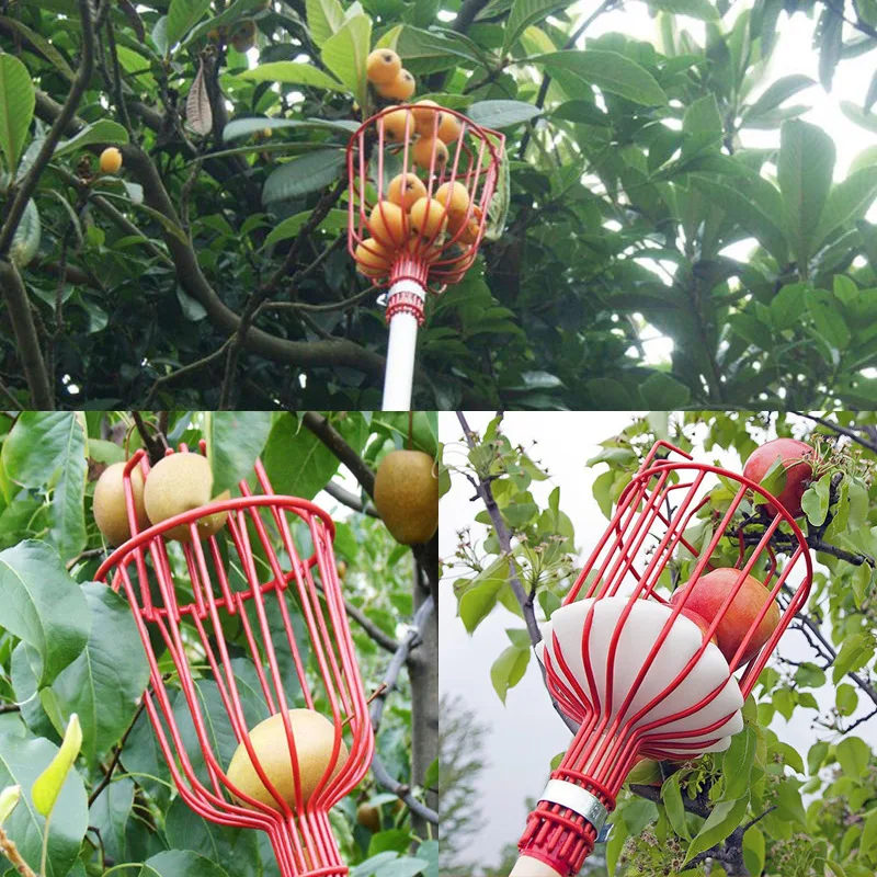 1PCS โลหะผลไม้ Picker เครื่องมือเบาะ,ที่ถอดออกได้สูง Orchard สวนอุปกรณ์, กรงเล็บเหล็ก Apple Pear Harvestin