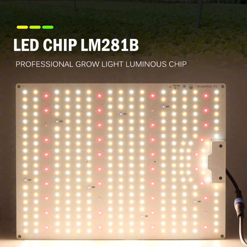 Led cresce a luz espectro completo 100w 150 200 lm281b phyto lâmpada alto brilho luz crescente interior para todas as plantas de palco