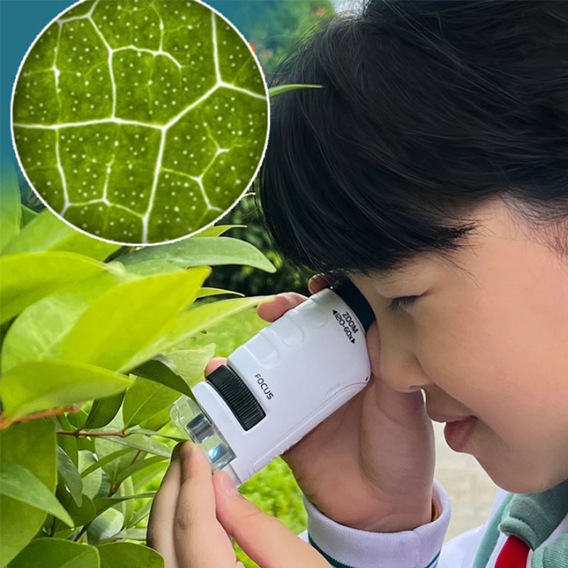Pocket Microscope Kids Science Toy Kit 60-120x Educational Mini Handheld Microscope with LED Light Outdoor Children Stem Toy