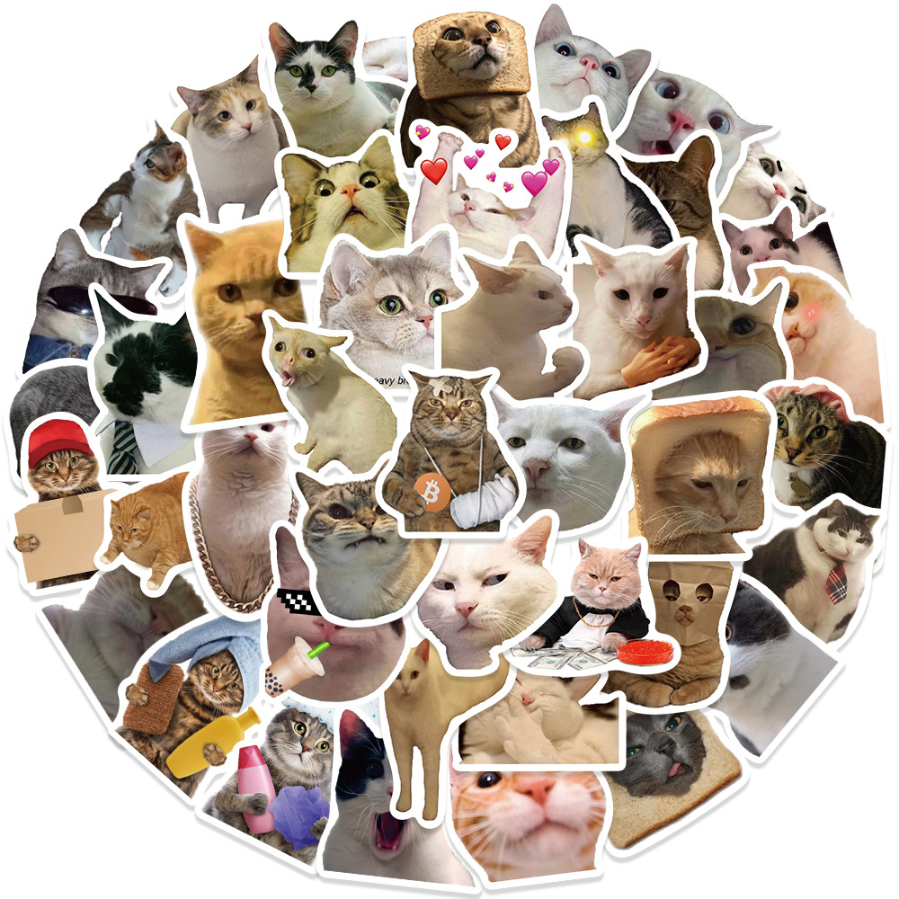 50 sztuk/paczka Cartoon śmieszne naklejki z kotami DIY naklejki na konto spersonalizowane Graffiti bagaż etui na telefony gitara deskorolki