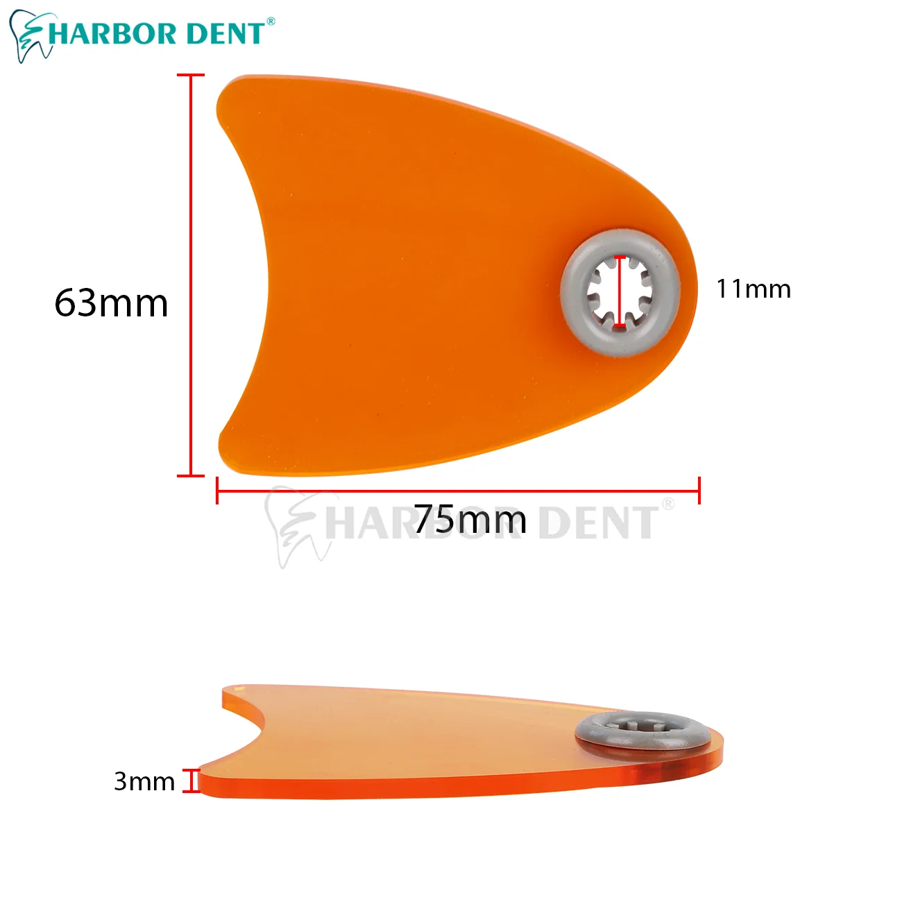1Pc Dental Shade Board Eye Protector Shield Plate Dentistry Lab Light Curing Lamp Filter Dentist Clinic Tool Shield