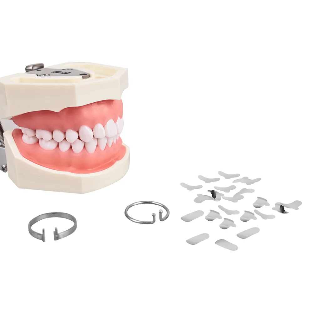 Denspay 100 ชิ้น/กล่องทันตกรรม Sectional Matrix ระบบทันตกรรม Sectional Matrix Band เรซิ่นหนีบ/แยกแหวนเครื่องมือทันตแพทย์