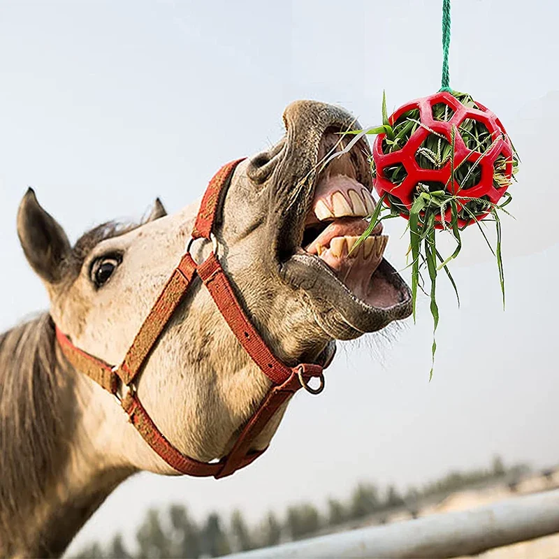 Horse Treat Ball Hay Feeder ของเล่นแขวนของเล่นให้อาหารสําหรับม้าม้าแพะแกะบรรเทาความเครียด Horse Treat Ball