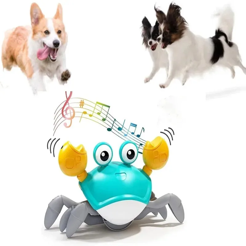 Juguete para mascotas con forma de cangrejo bailando con música y danza automática, diversión interactiva para gatos y perros, entretenimiento para mascotas en interiores