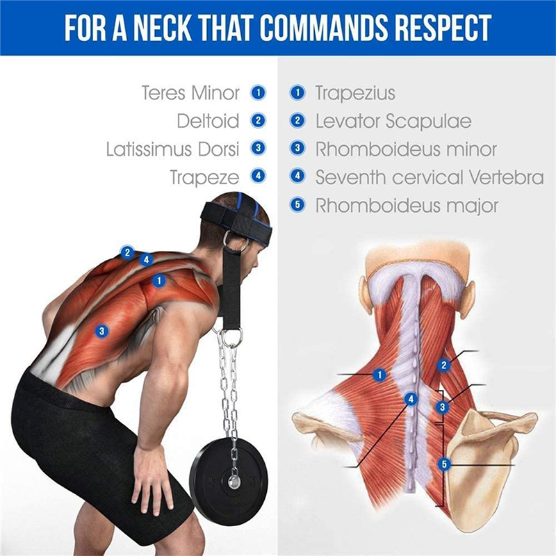 머리 목 훈련 머리 하네스 무게 베어링 캡 신체 Strengh 조정 가능한 운동 스트랩 목 근육 파워 훈련 체육관 피트니스