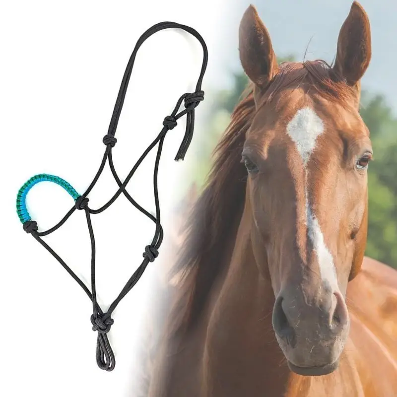 Pferdehalfter, Knoten, Training, Kopfstall, Gurtband, Seil, verschleißfestes Seil, Neckholder, verstellbar, Reitenhalter, langlebig