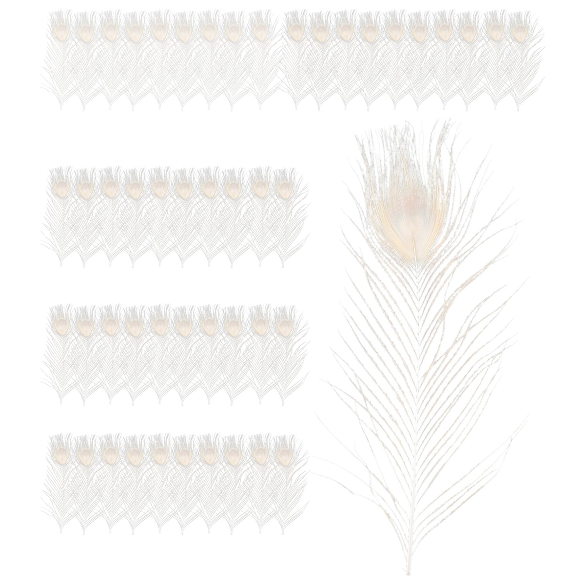 50 ชิ้น/ขนสีขาวธรรมชาติในตา 10 ถึง 12 นิ้วของตกแต่งงานแต่งงาน