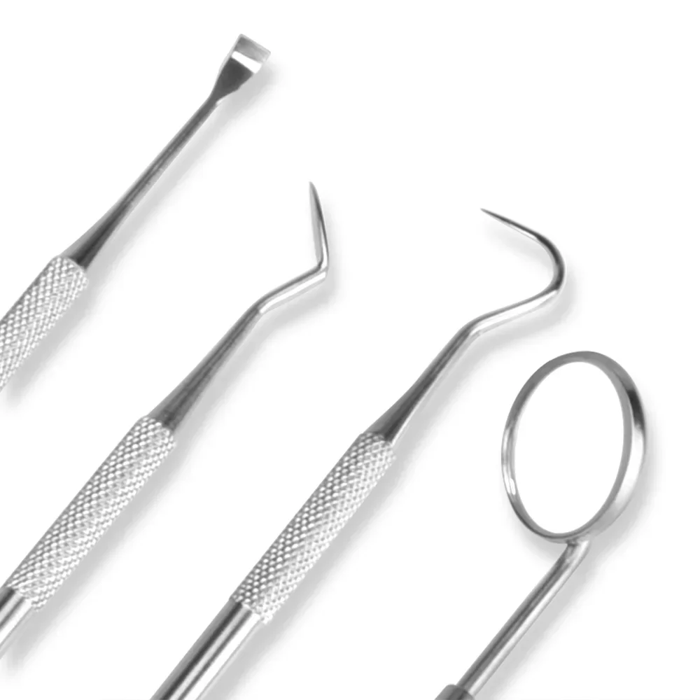 Kit per la pulizia dentale Scaler per tartaro in acciaio inossidabile Strumenti per lo sbiancamento dei denti Set per dentista portatile per l'igiene orale con detergente endoscopico