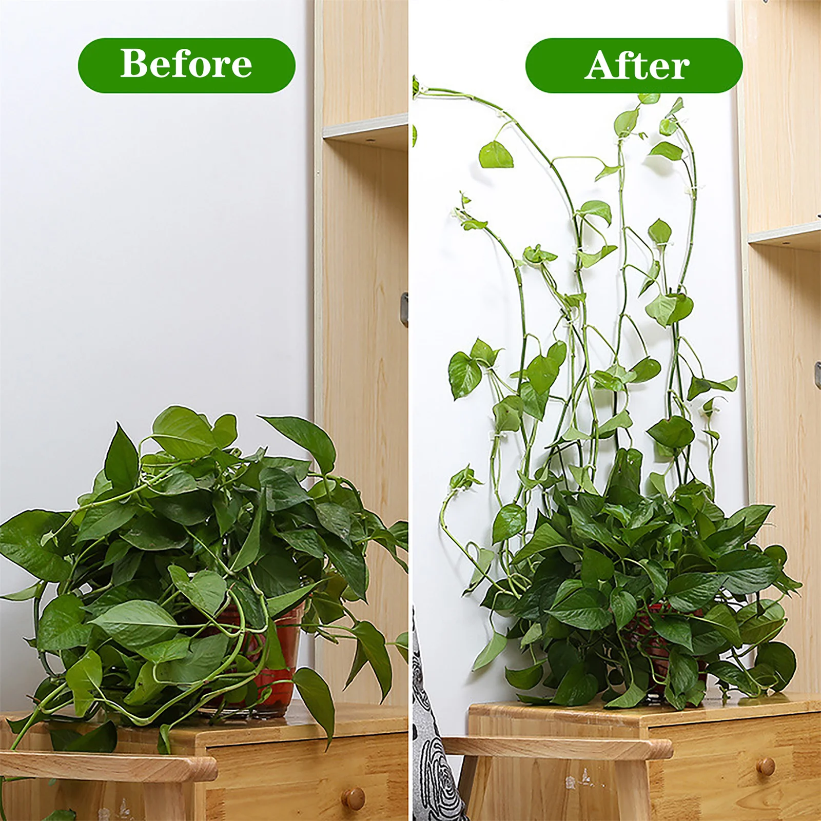 10/20PCS Plant Climbing Wall Fixture Clips Self-Adhesive Vine Buckle Hooks Sticky Rattan Clamp Fixators Invisible Fixing Devices