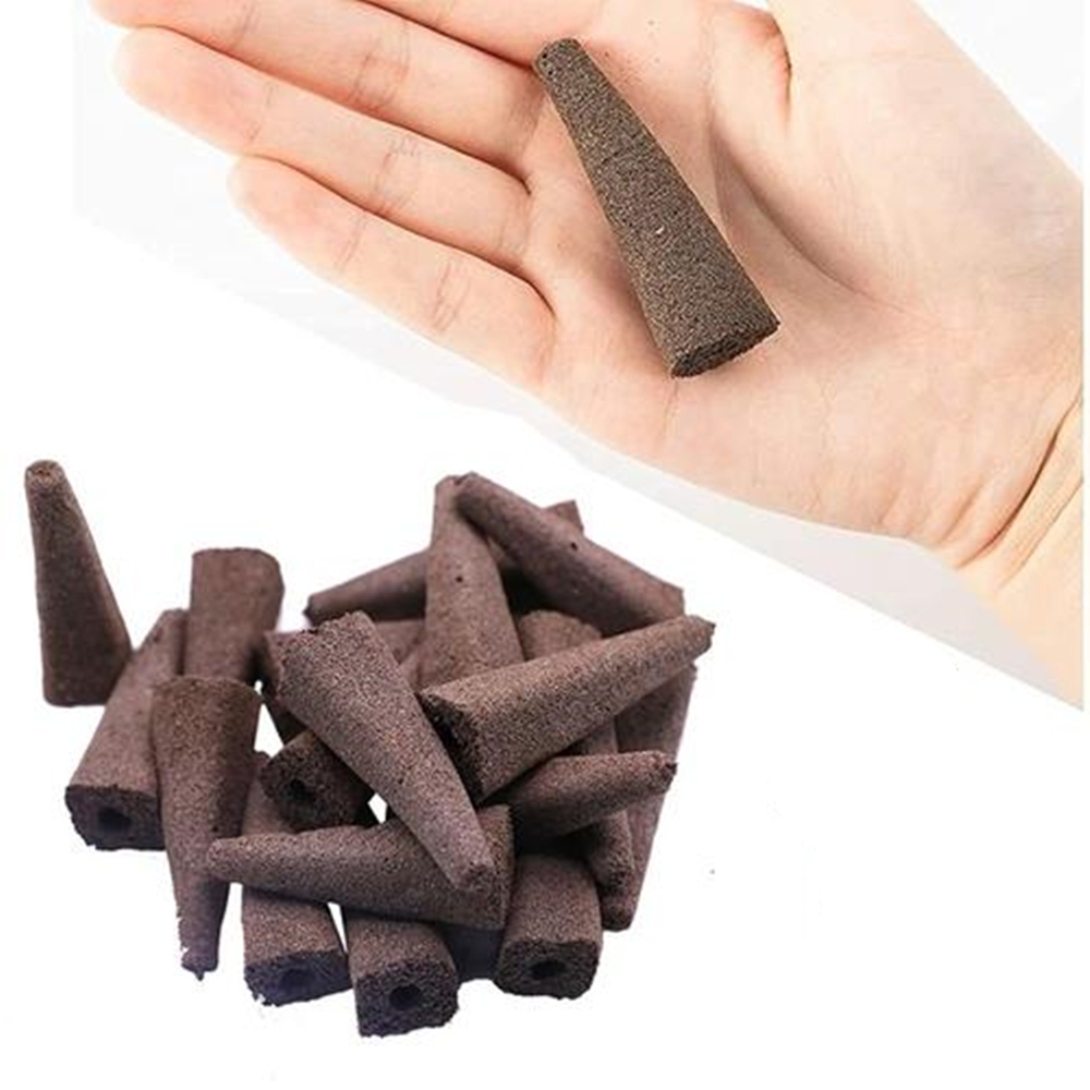 Hippeastrum Vittatum Rapid Rooting Sprouting Amaryllis Flower Bulbs Cultivation Blocks Soilless Nature Plants Bracket 2Pcs