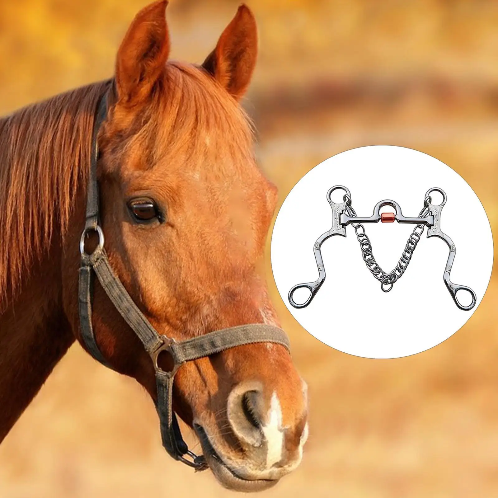 Punta per cavallo in acciaio inossidabile Bocca in rame per allenamento per cavalli Lunghezza bocca Argento Lunghezza bocca 130 mm