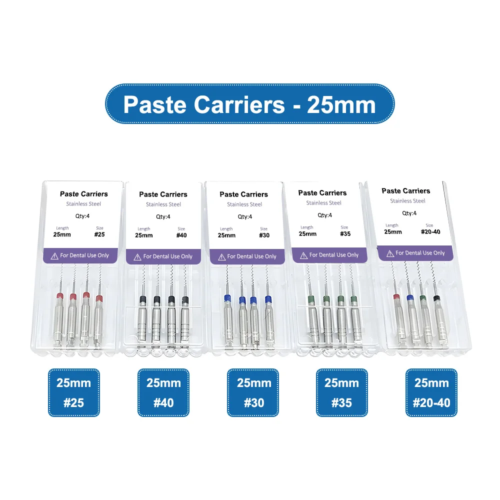 ELIJAH 4 teile/schachtel 21/25mm Dental Lentulo Paste Träger Endodontie Reibahlen Bohrer Burs Endo Dateien Zahnarzt Materialien instrument