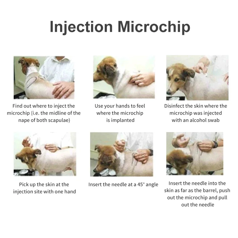 20pcs แท็ก ID สัตว์เลี้ยงฉีด Microchip 2.12*12 มม.Rfid เข็มฉีดยาแก้วชิปหัวฉีดสัตว์เลี้ยงสุนัขซัพพลายเออร์
