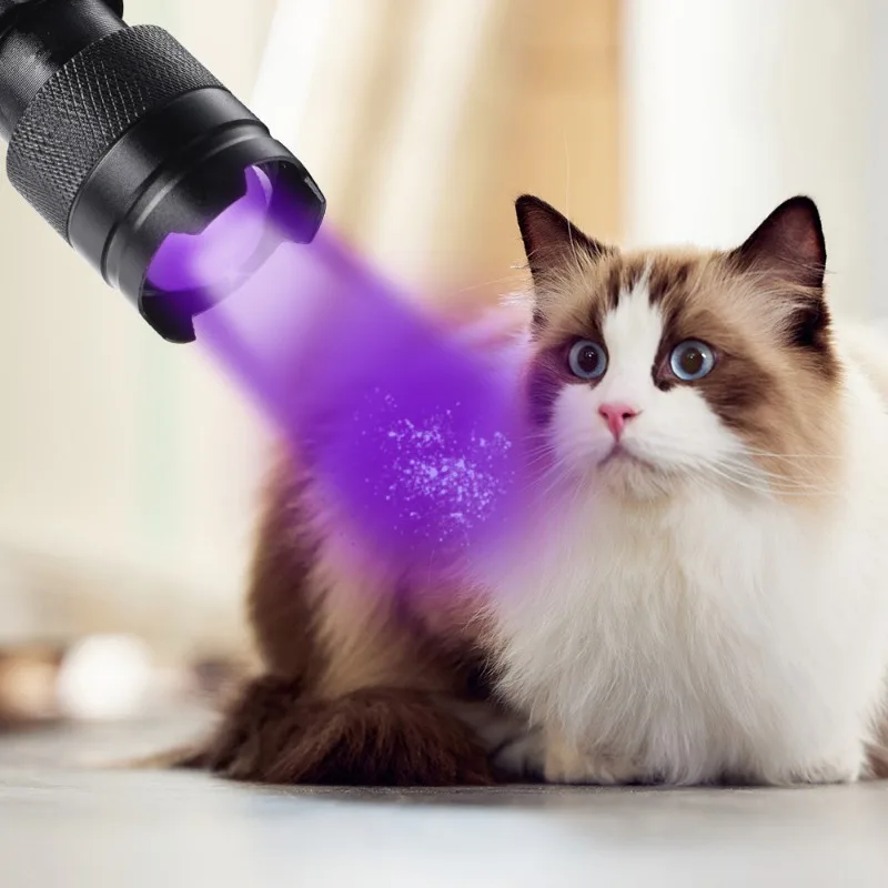 Lanterna uv led ultravioleta tocha com zoom mini luzes ultra violetas 395/365nm lâmpada de inspeção ferramentas detectoras de manchas de urina para animais de estimação