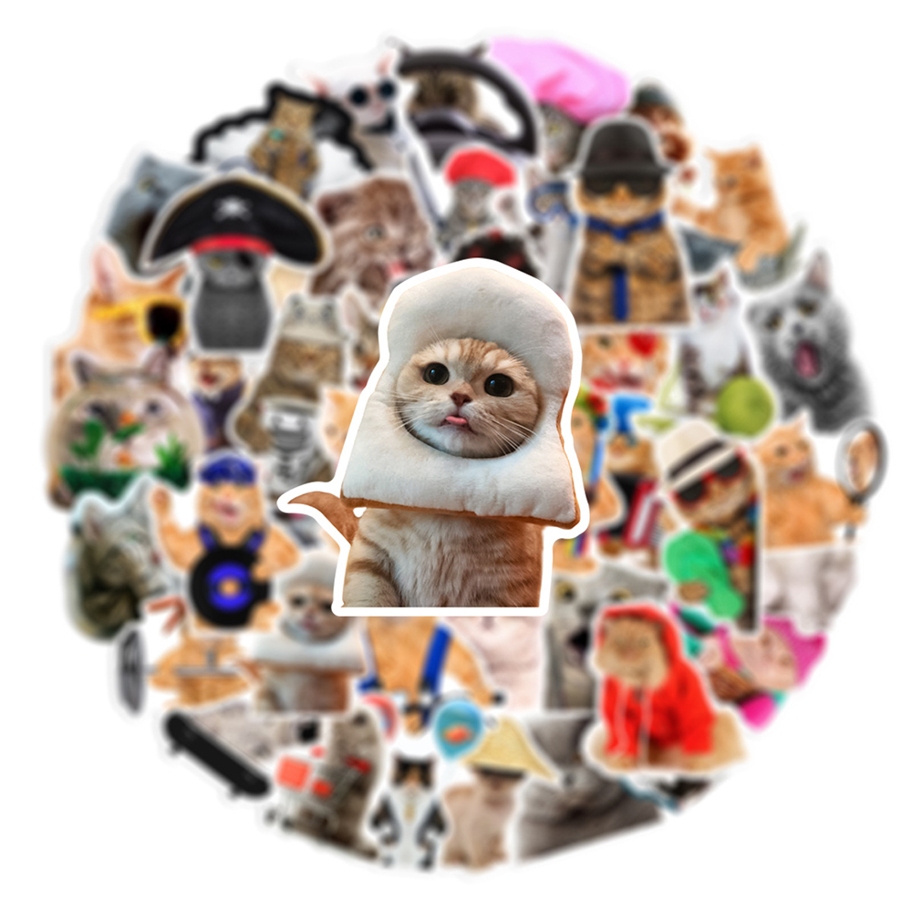 10/30/66 個かわいい面白いミーム猫ステッカーかわいい漫画の動物デカールラップトップオートバイスーツケースノートブック防水ステッカー