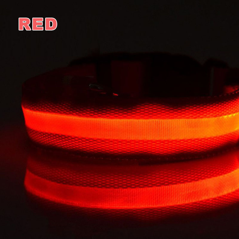 Collar brillante, Collar de nailon, correa para perro, Collar recargable que brilla en la oscuridad, suministros para mascotas