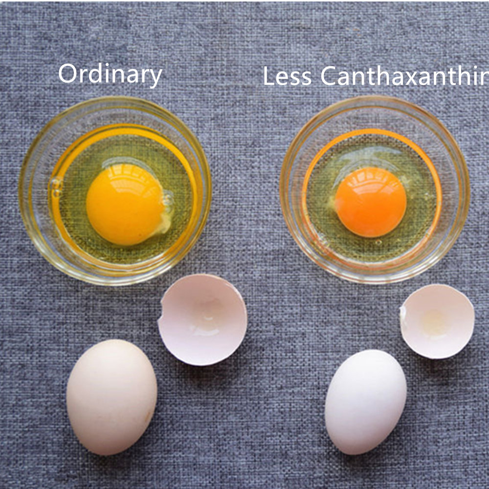 Canthaxanthin/Aphanicin/Carophyll-Rotpulver in Futterqualität für Futterzusatz, Tierfutterzusatz