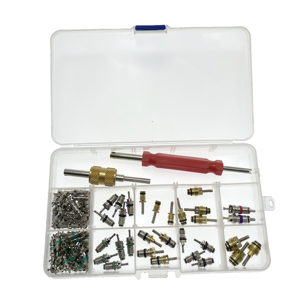 102 Stuks Auto Airconditioner Klep Cores Assortiment A/C Ac Shrader Ventiel & Tool R134 R12 HVAC kleppen Kit Auto Accessoires