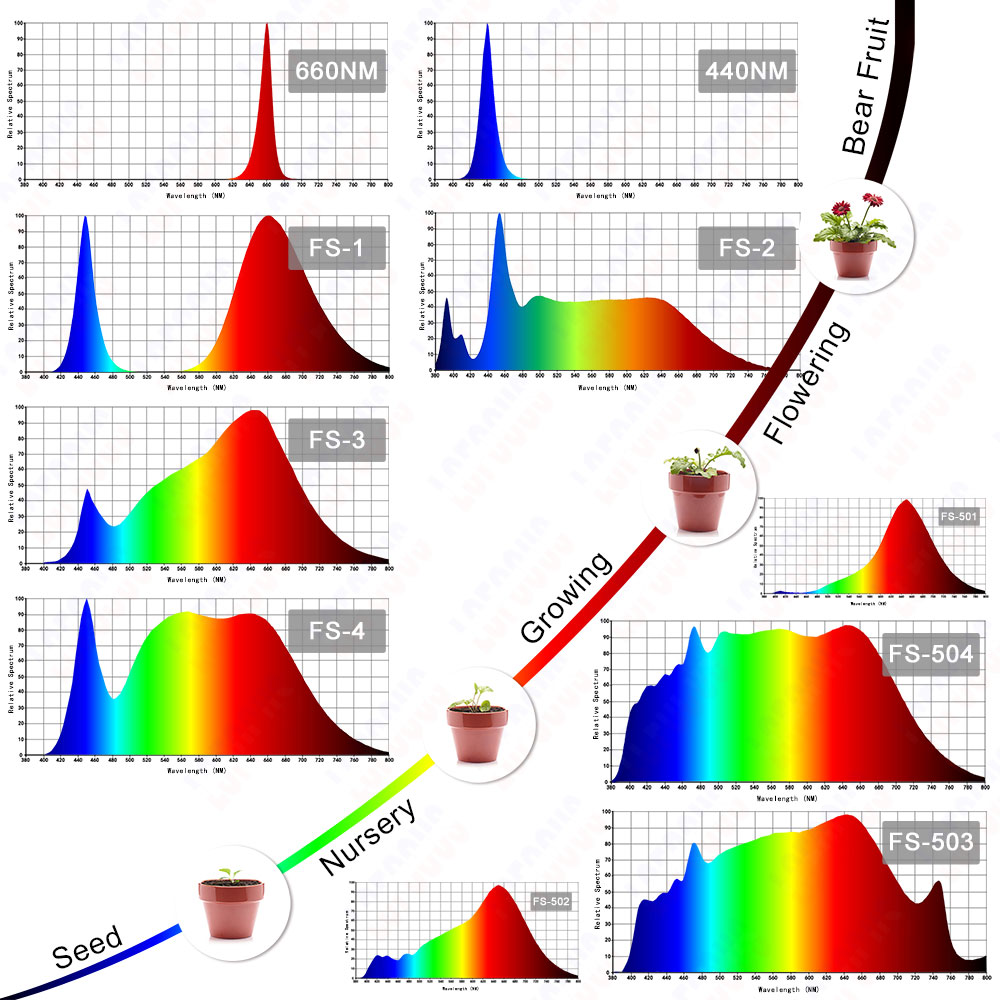 1W 3W 5W 10W 20W 30W 50W 100W 成長 LED 成長チップ フルスペクトル 太陽光 380-840nm 観葉植物 野菜 花 果物 水族館 アート ギャラリー 展示ホール