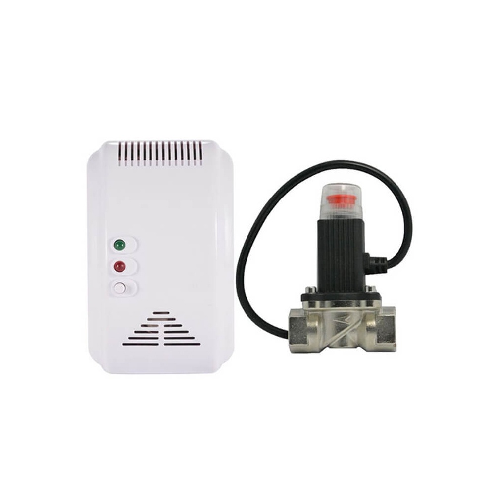 Fuente de alimentación DC 12V-24V, Detector de Gas Combustible de red que funciona con Detector de Gas de apagado