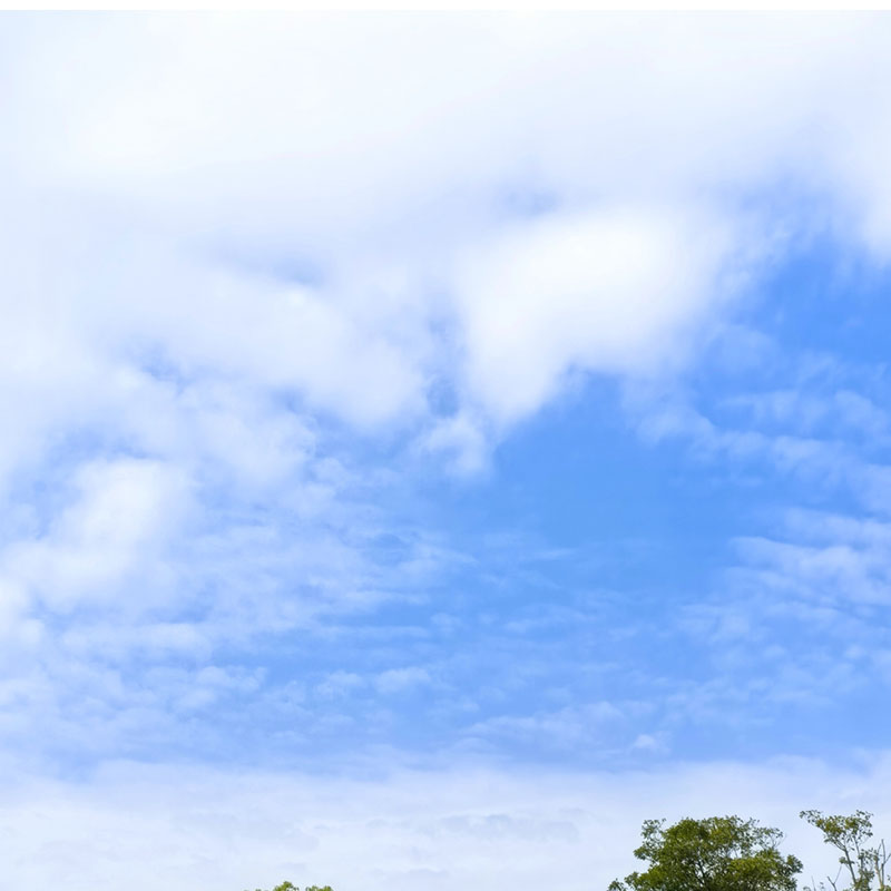 Pague un susto adicional No incluye tarifas adicionales de cualquier producto o pague solo para pagar el precio del saldo del pedido, reembolso del comprador