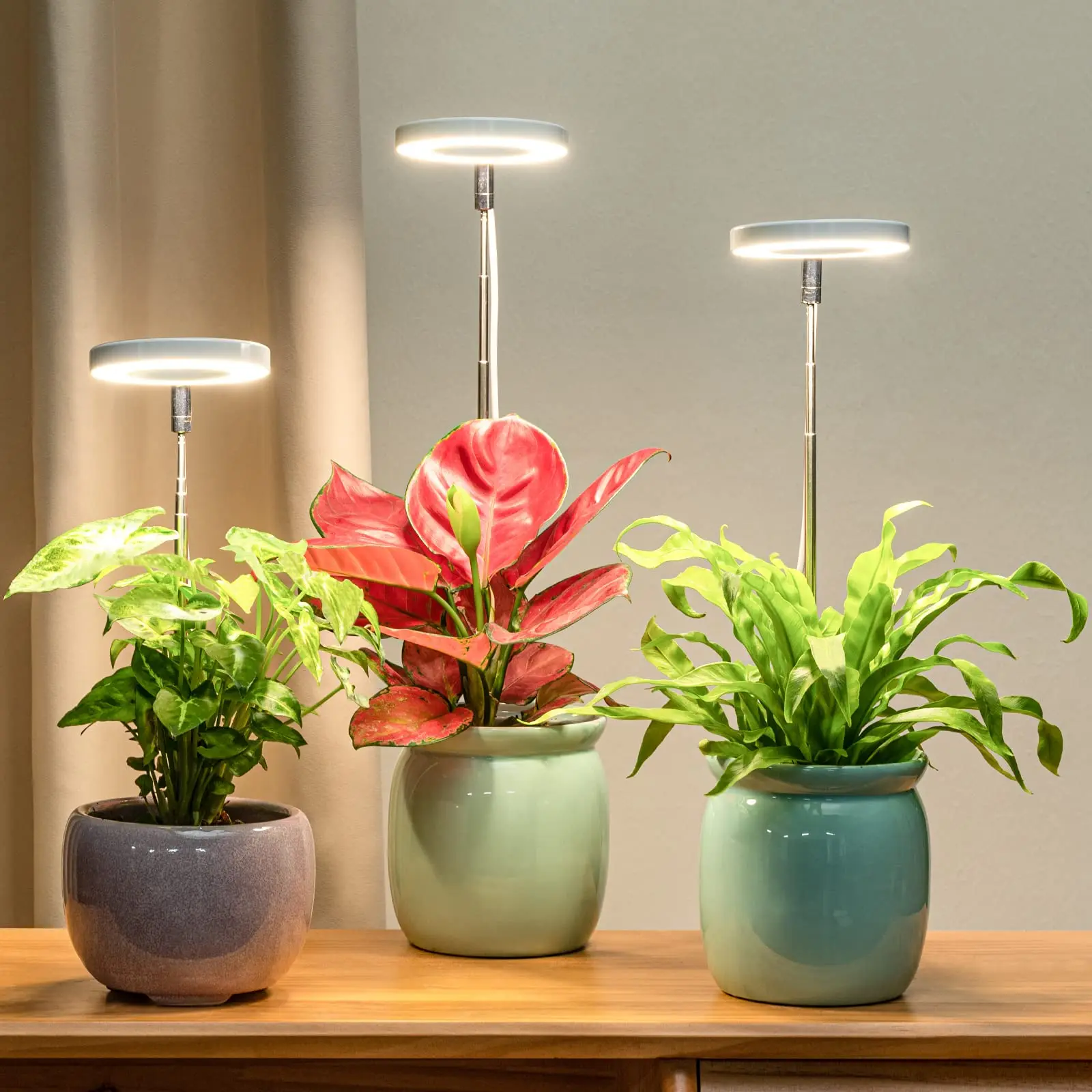 Luz de preenchimento de espectro completo LED cresce a lâmpada com altura ajustável, temporizador 3/9/12H com escurecimento de 10 níveis para jardim de plantas solares internas