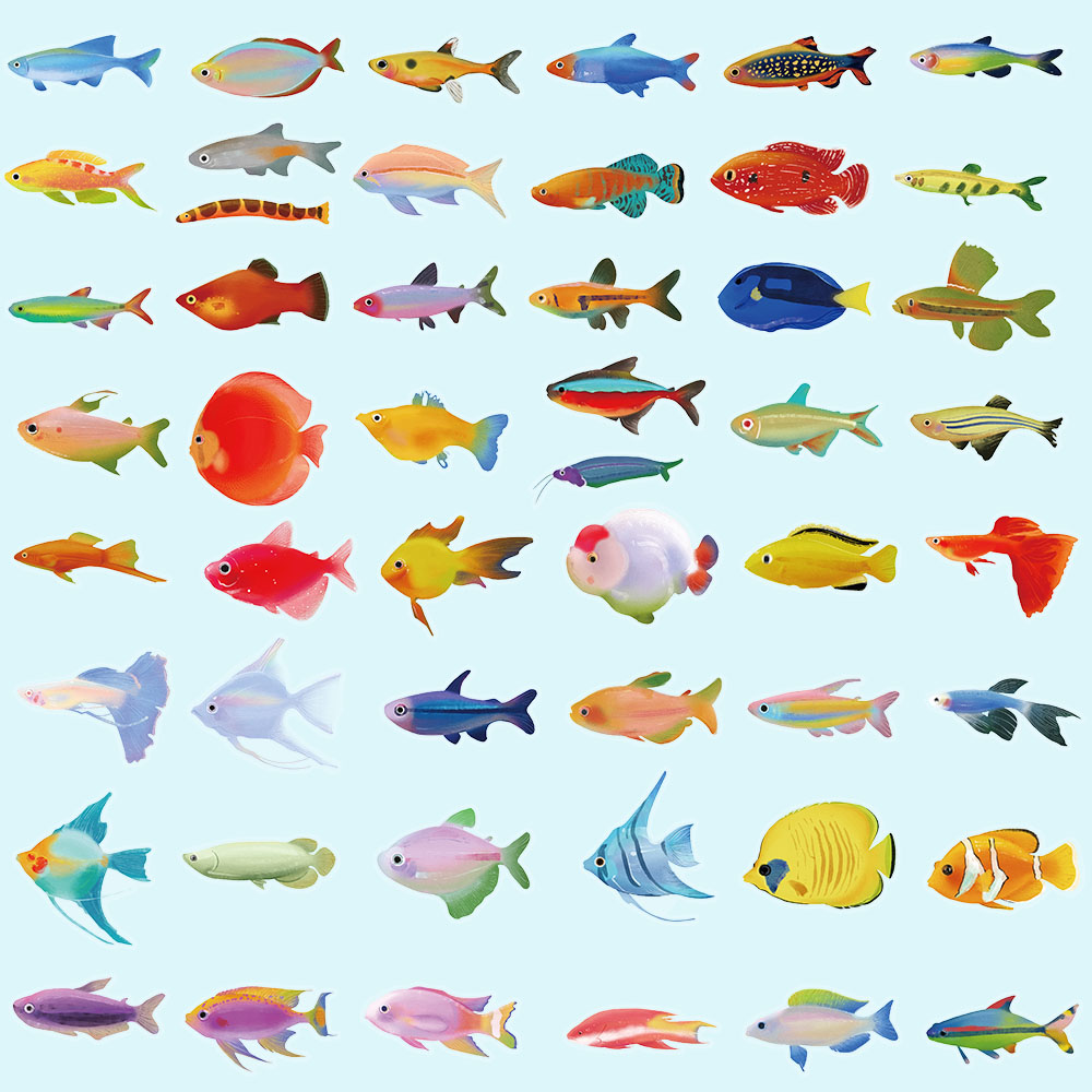 50 sztuk kreatywne malowanie zdjęć tropikalna ryba plastikowe naklejki wykwintne zwierzę morskie ozdobne ryby Graffiti naklejki DIY