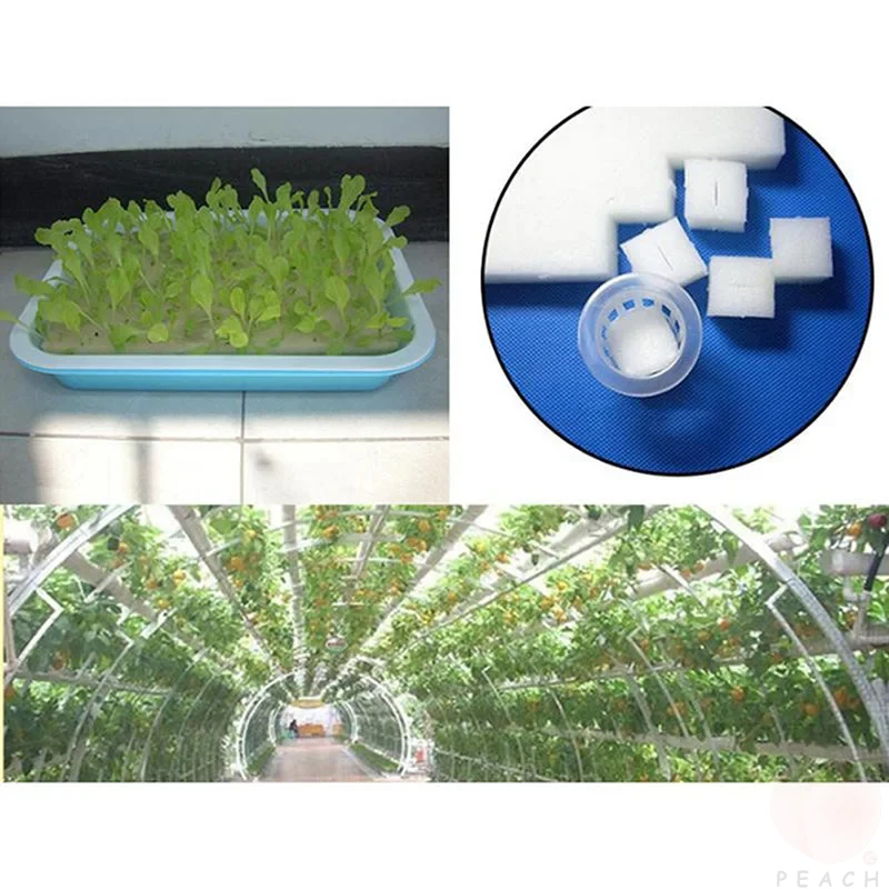 100 ชิ้น/แผ่นพืช Hydroponic ฟองน้ําสวนการเพาะปลูกต้นกล้า Soilless วัฒนธรรมเครื่องมือปลูกผัก Nursery Pots ถาด