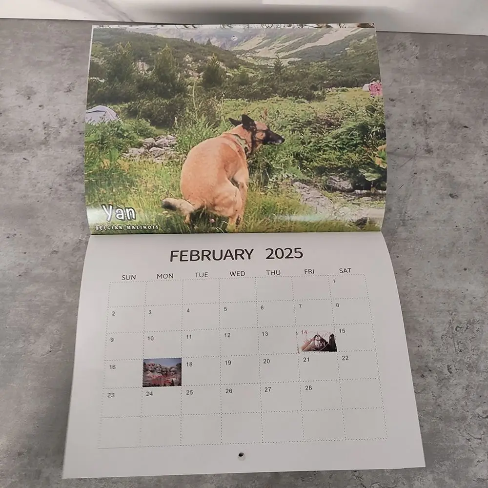 Calendario de pared de perros divertidos, planificador diario semanal mensual, creativo, regalo de escritorio divertido, 2025