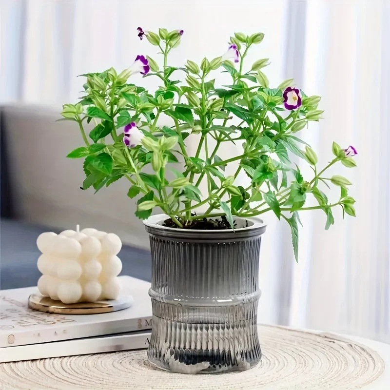 Lazy Hydroponic ดอกไม้หม้อดูดซับน้ําอัตโนมัติกระถางดอกไม้โปร่งใส Double Layer พลาสติกรดน้ําด้วยตนเอง Planter Office