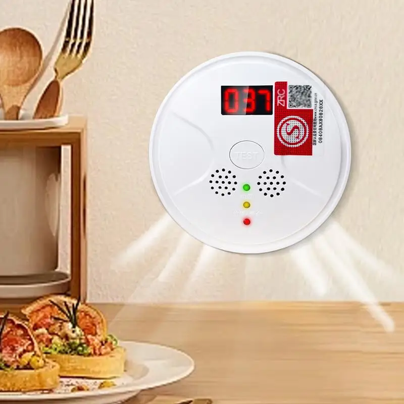 Carbon Monoxide Detectors Travel CO Alarm Battery-Powered CO Warning Monitor Portable CO Alarm Detector With Digital Display &