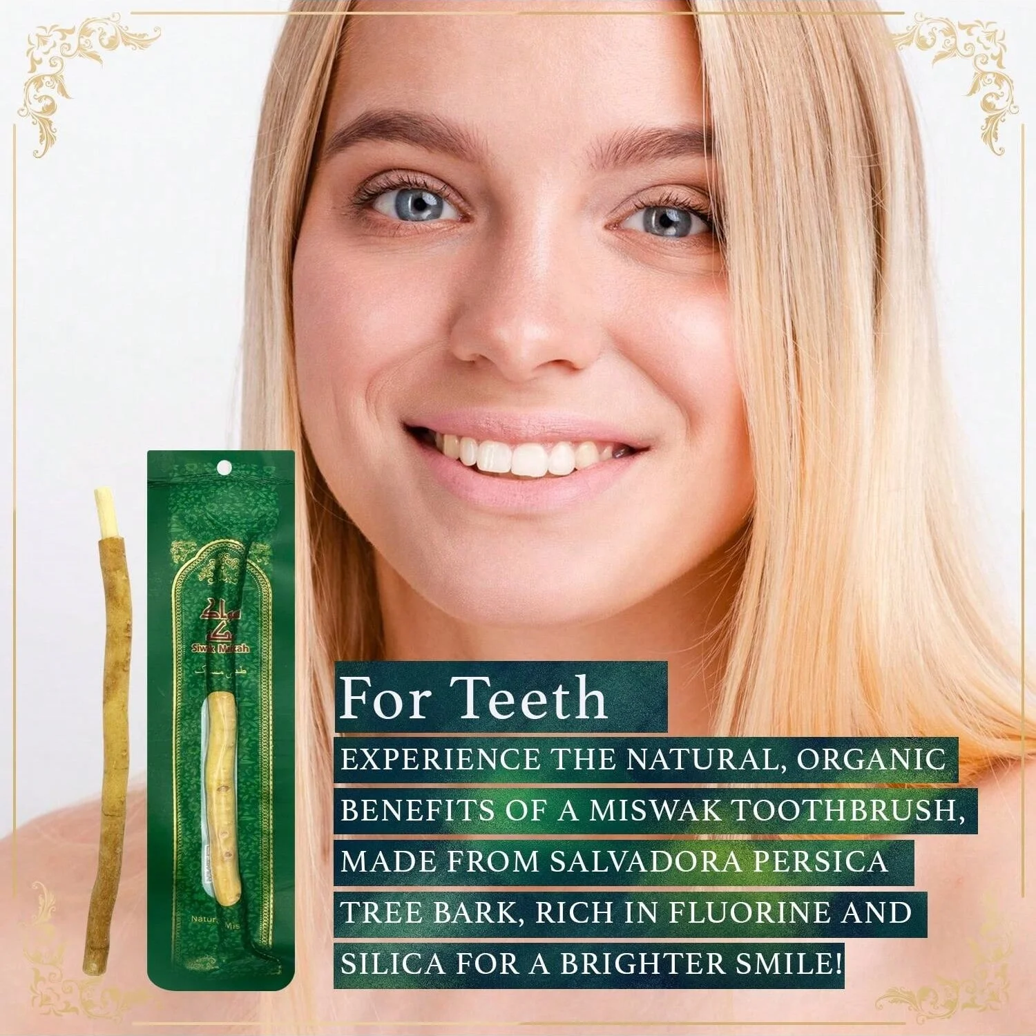 크리 에이 티브 자연 지점 Miswak 칫솔 스틱 치아를위한 휴대용 전통적인 천연 칫솔 구강 건강 신선한 호흡 선물