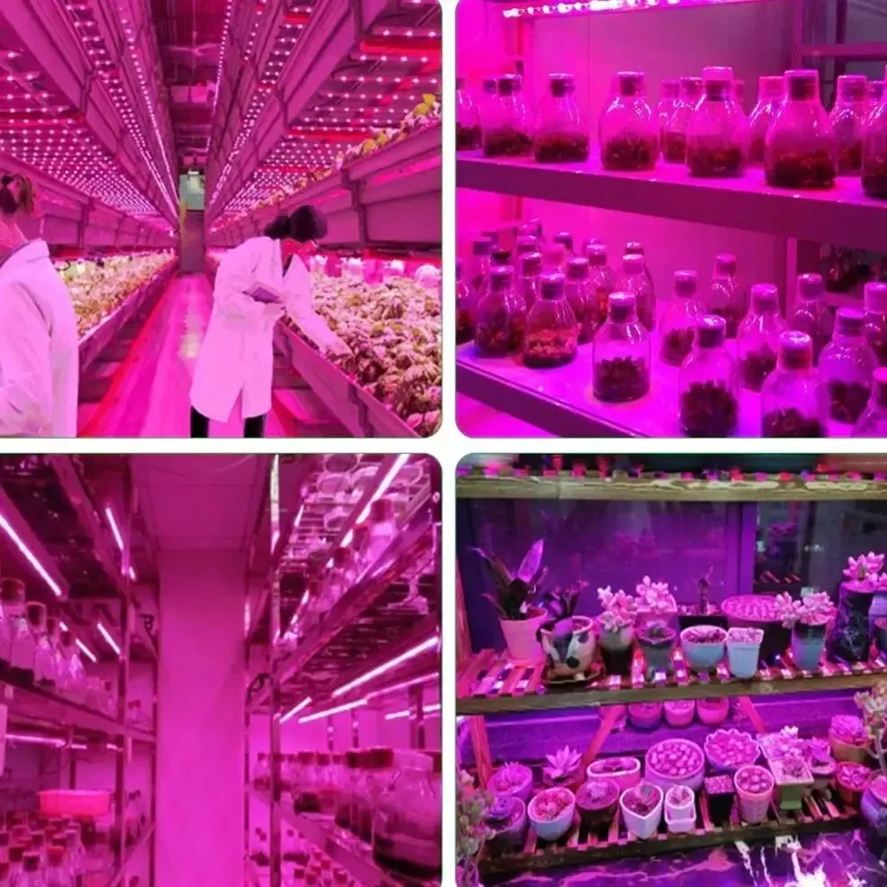 DC 5V USB LED พืชเติบโตไฟ,1 M 2 M 3 M Full Spectrum Phyto โคมไฟสําหรับพืช Hydroponics เรือนกระจกปลูกระบบ