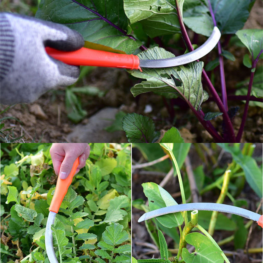 Herramienta de cultivo de hoz de acero inoxidable con dientes para eliminación y cosecha de malas hierbas, cortador de granos pequeños, mata malas hierbas para el hogar