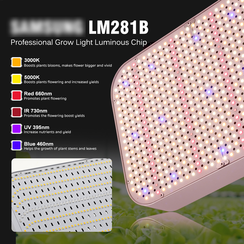 100W Led Grow Light Volledige Spectrum Phyto Lamp Quantum Grow Lamp LM281B Voor Indoor Plantengroei Licht Kas bloem