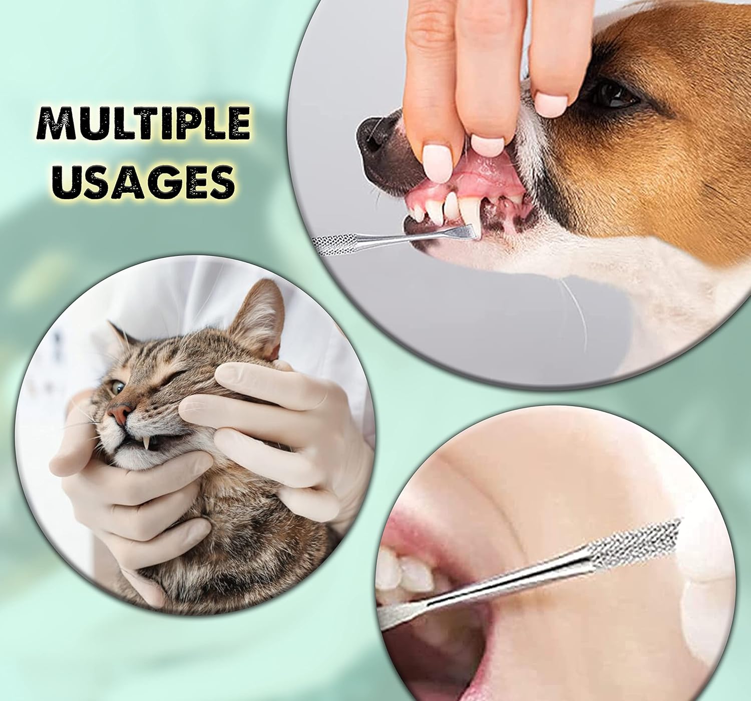สแตนเลสสัตว์เลี้ยงทันตกรรมเครื่องมือทําความสะอาดฟันฟัน Scaler เครื่องมือทําความสะอาดสุนัข Plaque Remover ฟันไวท์เทนนิ่ง (Pack of 3/6)