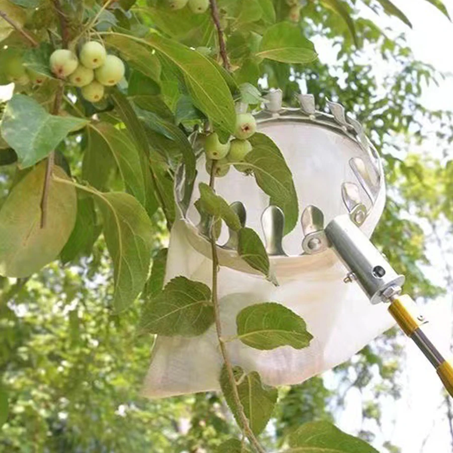 Strumenti per la raccolta di frutta Raccoglitore Raccoglitore di alberi Raccoglitore di frutta Bacche Attrezzo da giardinaggio Forniture per lavori in giardino Utensili Gadget agricoli
