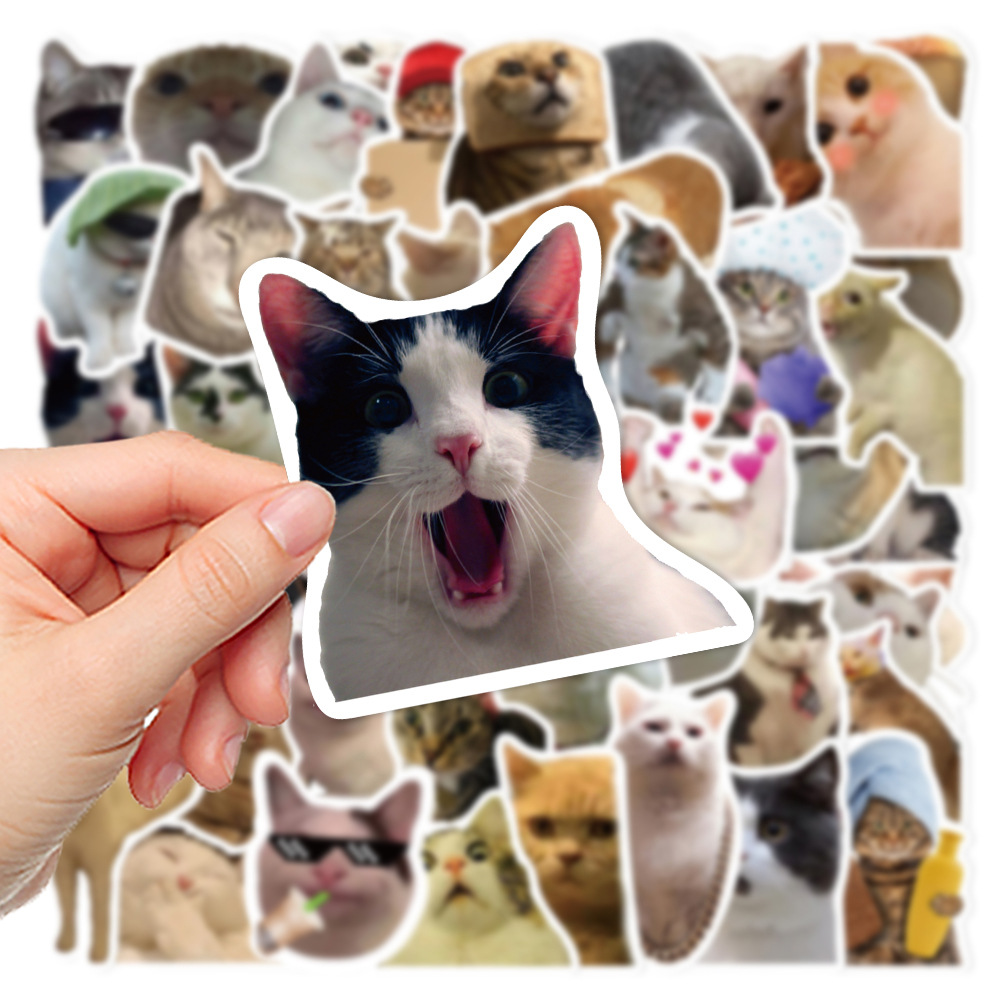 50Pcs Funny Cat Graffiti Stickers, Water Cup Guitar Skateboard Phone Trolley Case Laptop Desktop Helmet Toys Decoration Stickers