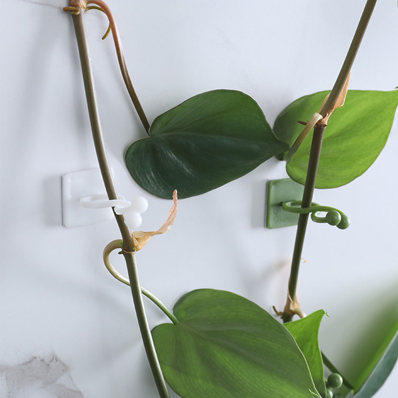 100pcs-Home Garden Plant Climbing Wall Fixture Clips Rattan Vine Fixer Self-Adhesive Plant Climbing Wall Fixed Buckle Hook